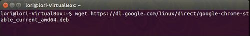 Cách cài Google Chrome trên Linux, Ubuntu