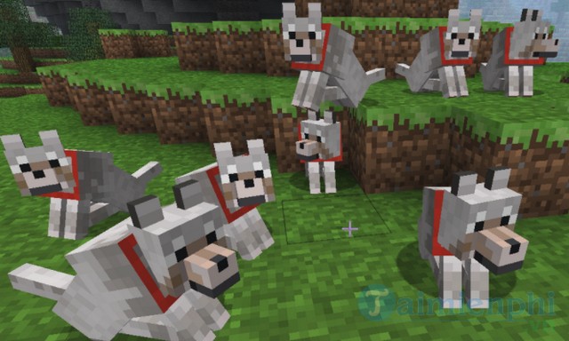 cach thuan phuc meo rung cho soi ngua trong minecraft 2
