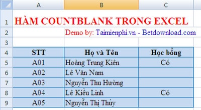 ham countblank trong excel