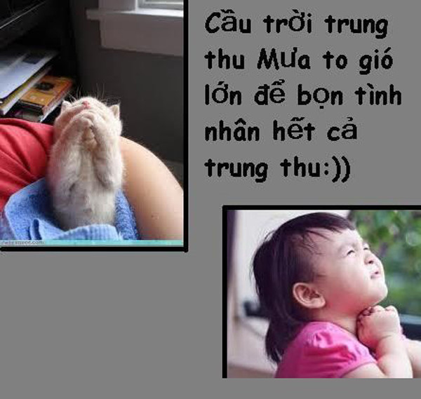 anh fa cau mua