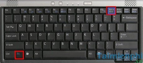 Làm thế nào khi gõ chữ lại ra số trên bàn phím Laptop?