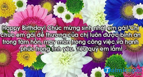 loi chuc sinh nhat cho em gai 2