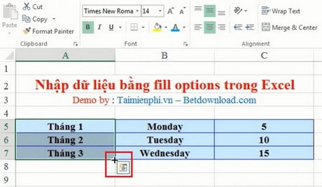 Nhập dữ liệu bằng Fill Options trong Excel