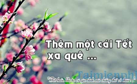 tho tet ve que huong