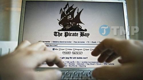 trang web torrent