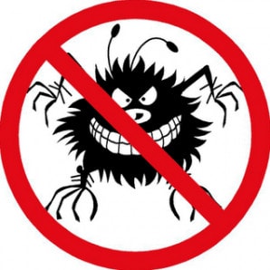 Virus là gì virus la gi