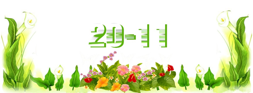 Ảnh đẹp facebook 20 tháng 11 anh facebook dep 20 11