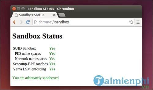 difference between chromium and chrome 2